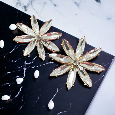 Earrings 27